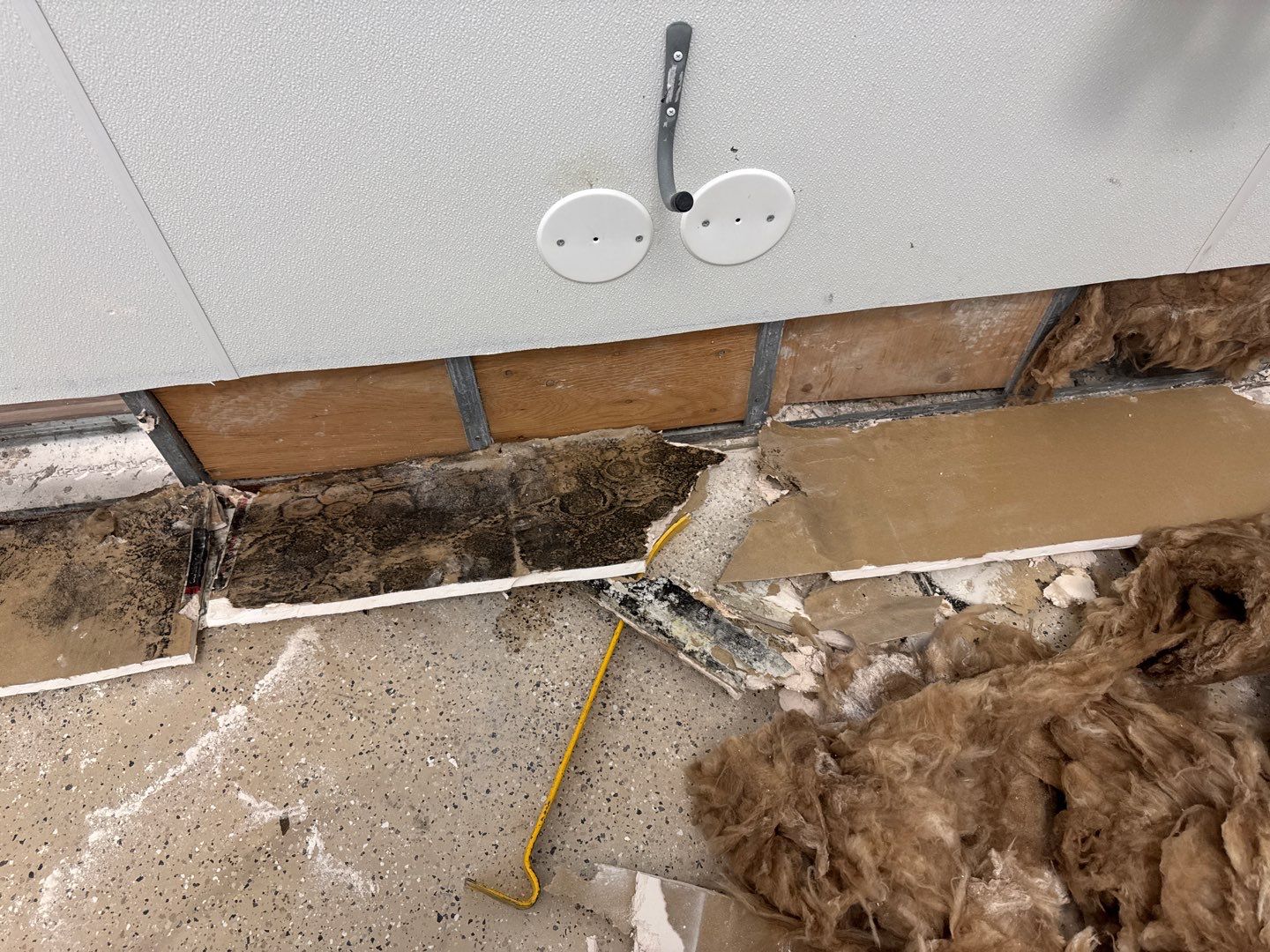 Mold remediation service